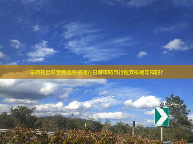 攀枝花出发至新疆喀纳斯六日游攻略与行程安排是怎样的？