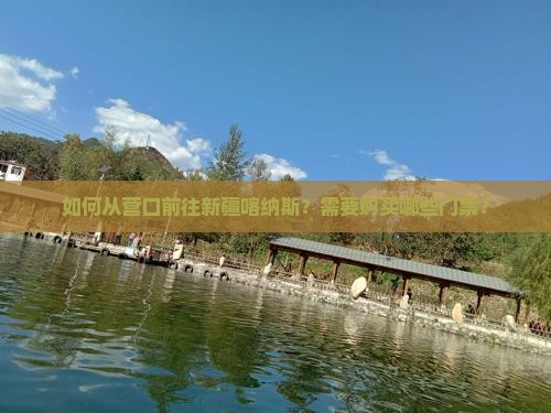 如何从营口前往新疆喀纳斯？需要购买哪些门票？