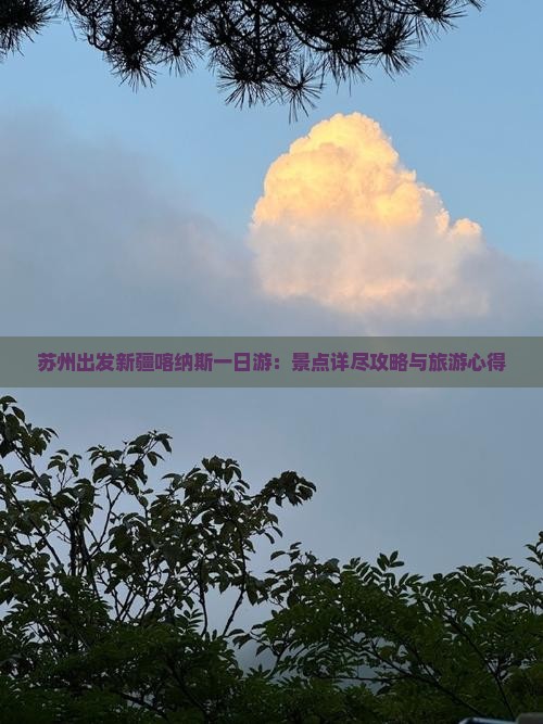 苏州出发新疆喀纳斯一日游：景点详尽攻略与旅游心得