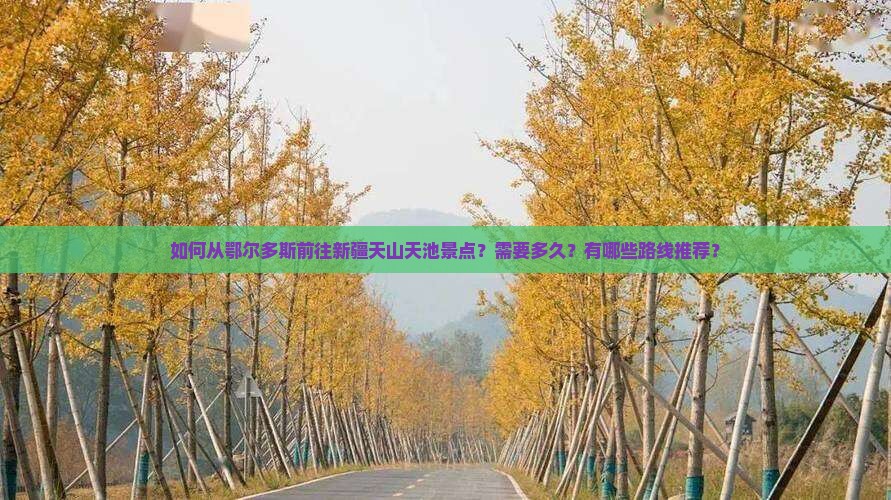 如何从鄂尔多斯前往新疆天山天池景点？需要多久？有哪些路线推荐？