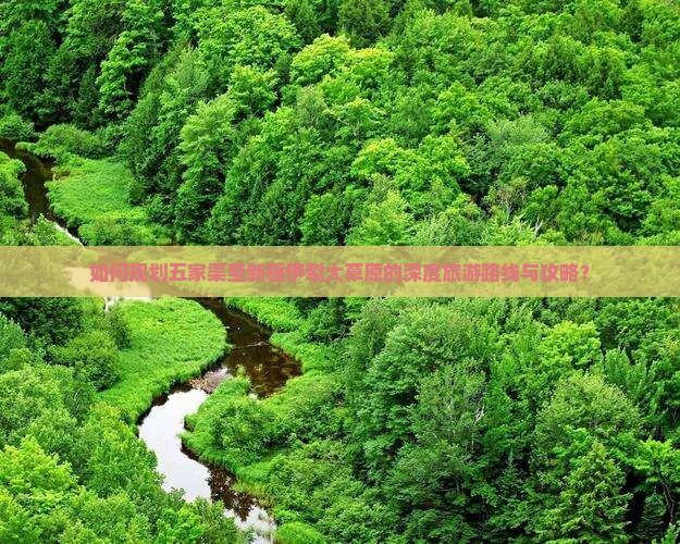 如何规划五家渠至新疆伊犁大草原的深度旅游路线与攻略？