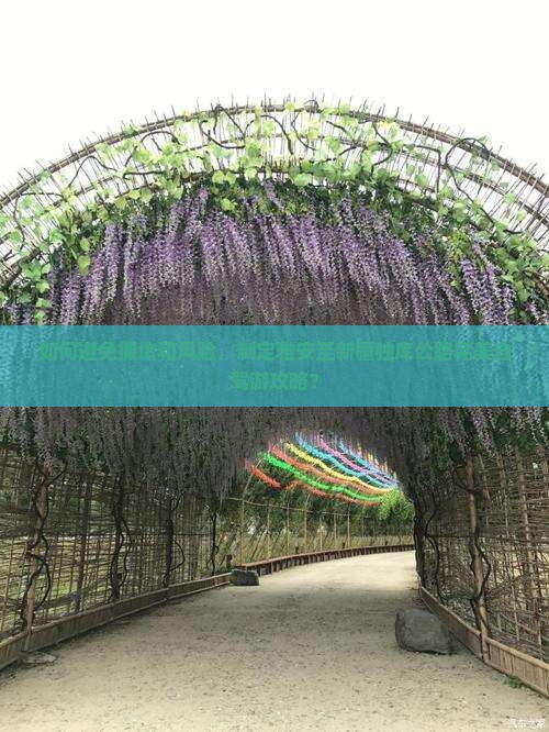 如何避免拥堵和风险，制定雅安至新疆独库公路完美自驾游攻略？