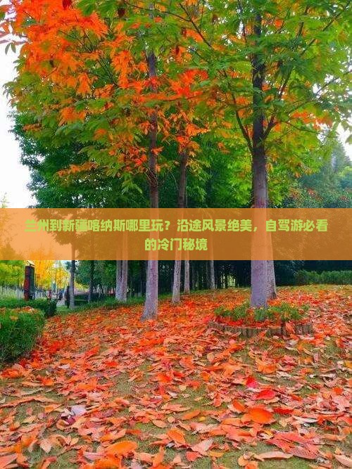 兰州到新疆喀纳斯哪里玩？沿途风景绝美，自驾游必看的冷门秘境