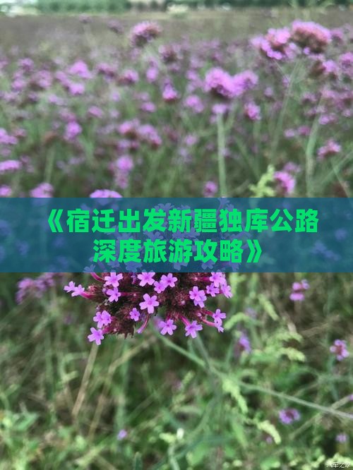 《宿迁出发新疆独库公路深度旅游攻略》