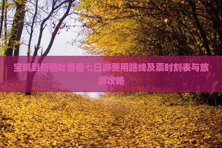 宝鸡到新疆吐鲁番七日游费用路线及票时刻表与旅游攻略
