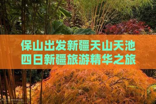 保山出发新疆天山天池四日新疆旅游精华之旅