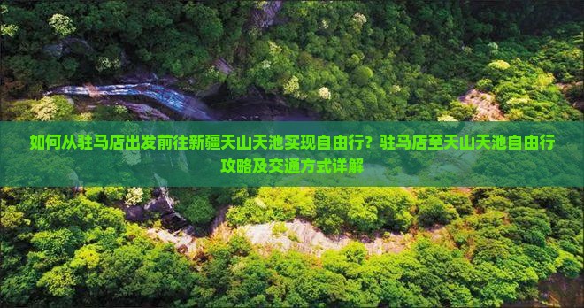 如何从驻马店出发前往新疆天山天池实现自由行？驻马店至天山天池自由行攻略及交通方式详解