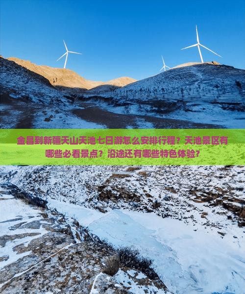 金昌到新疆天山天池七日游怎么安排行程？天池景区有哪些必看景点？沿途还有哪些特色体验？