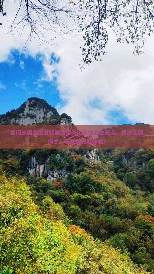 如何从锦州出发畅游新疆天山天池必去景点，解决交通痛点，享受旅行新体验？