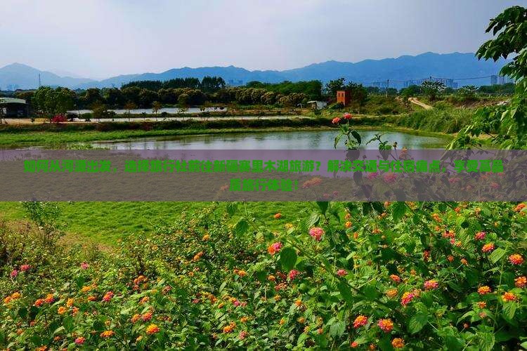 如何从河源出发，选择旅行社前往新疆赛里木湖旅游？解决交通与住宿痛点，享受高品质旅行体验！