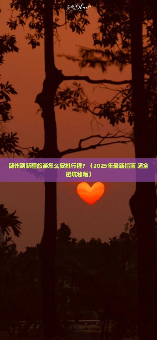 随州到新疆一日