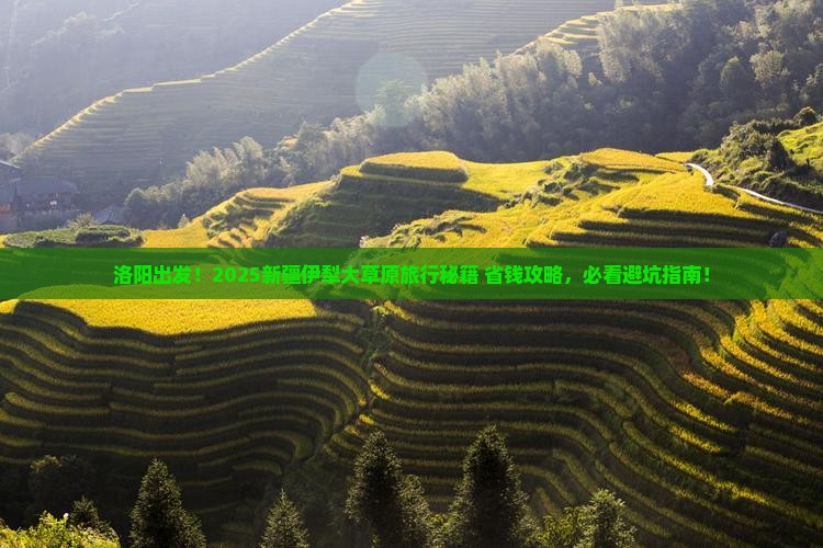 洛阳去新疆伊犁大草原旅行社