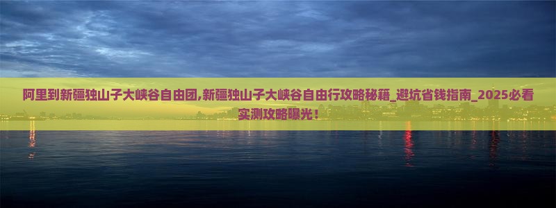 阿里到新疆独山子大峡谷自由团
