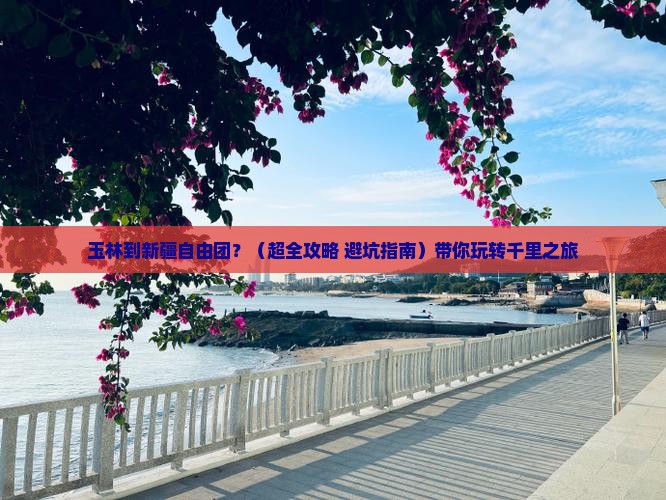 玉林到新疆自由团