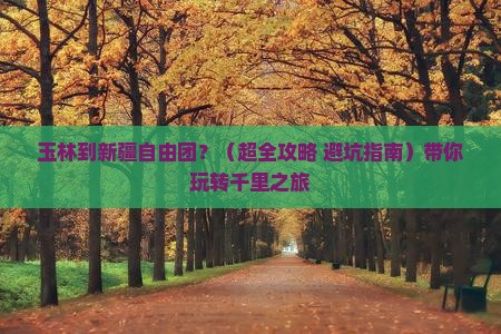 玉林到新疆自由团