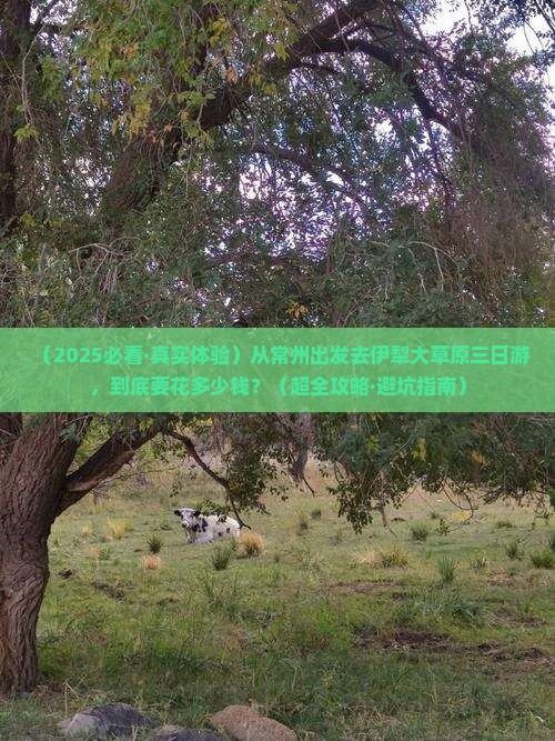 常州到新疆伊犁大草原三日游
