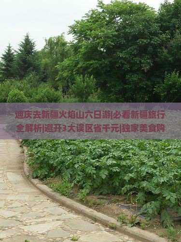 迪庆去新疆火焰山六日游
