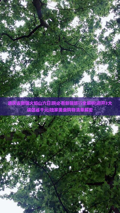 迪庆去新疆火焰山六日游