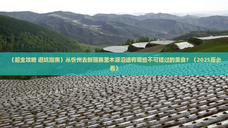 忻州到新疆赛里木湖旅游小吃