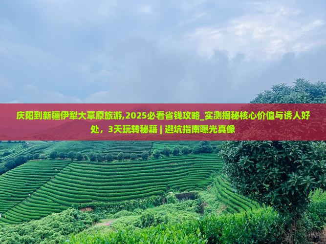 庆阳到新疆伊犁大草原旅游