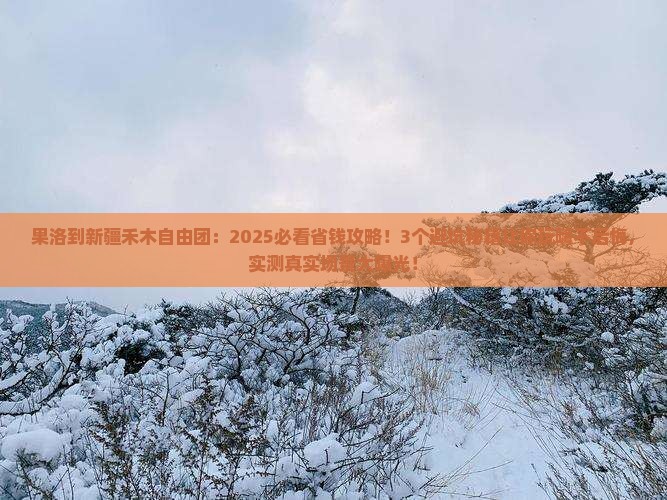 果洛到新疆禾木自由团