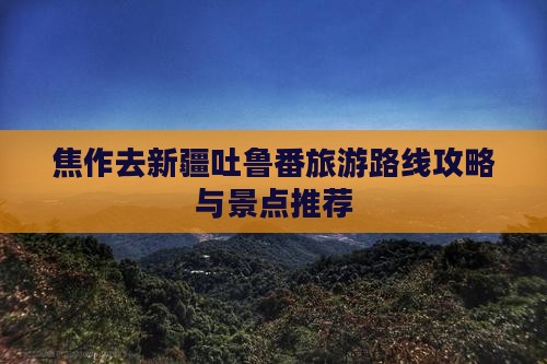 焦作去新疆吐鲁番自由团