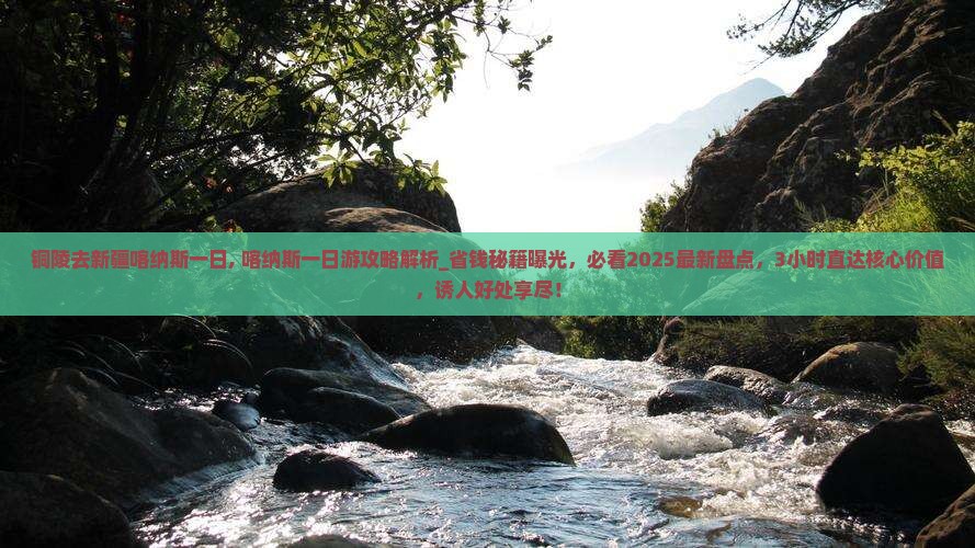 铜陵去新疆喀纳斯一日