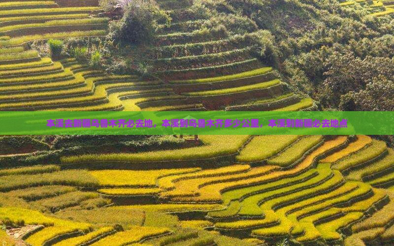本溪去新疆乌鲁木齐必去地