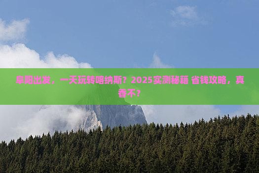 阜阳去新疆喀纳斯一日