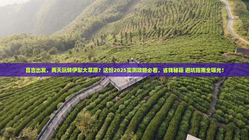 昌吉去新疆伊犁大草原二日游