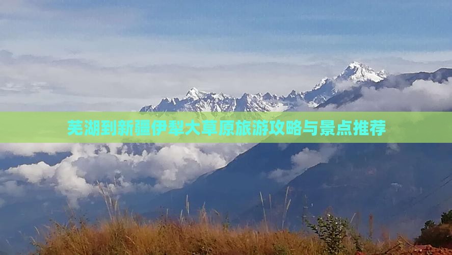 芜湖到新疆伊犁大草原景点