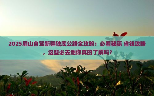 眉山到新疆独库公路必去地