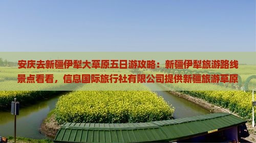 安庆去新疆伊犁大草原五日游