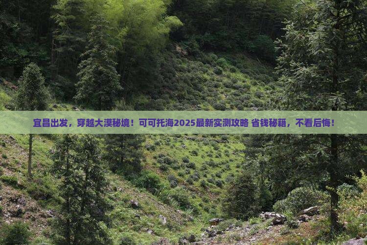 宜昌去新疆可可托海攻略