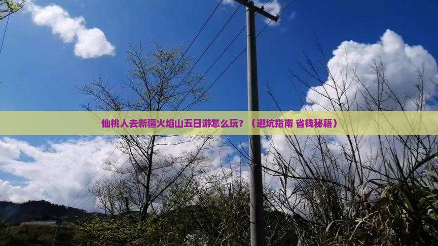 仙桃去新疆火焰山五日游