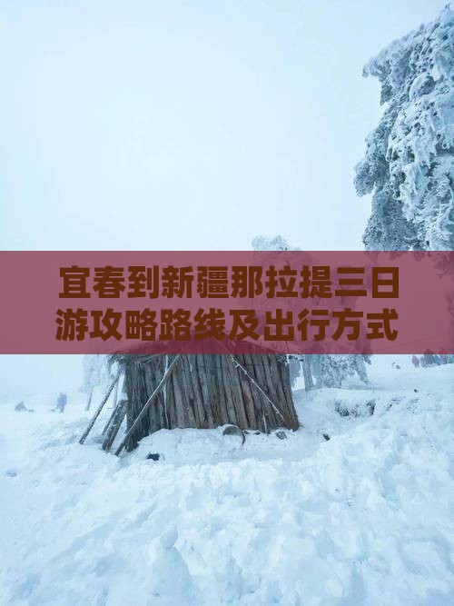 宜春到新疆那拉提三日游