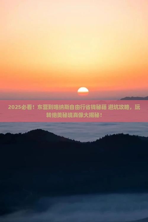 东营到新疆喀纳斯自由团