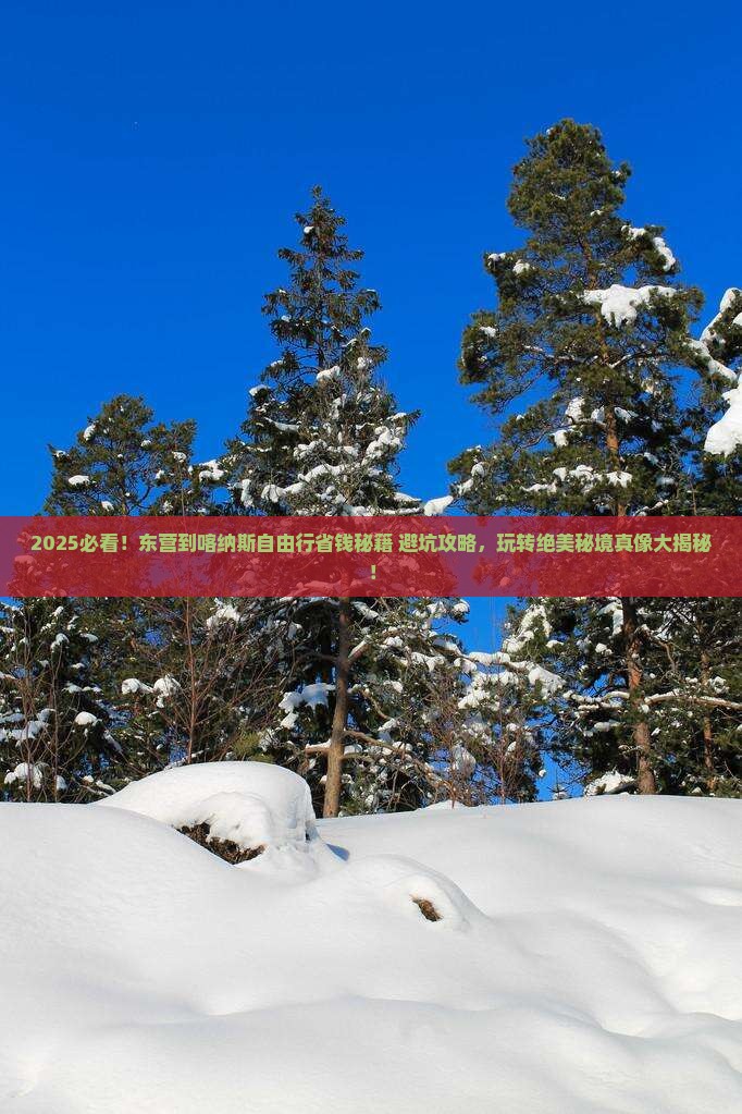 东营到新疆喀纳斯自由团