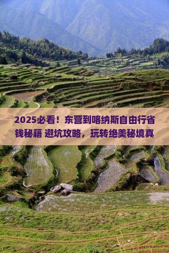 东营到新疆喀纳斯自由团