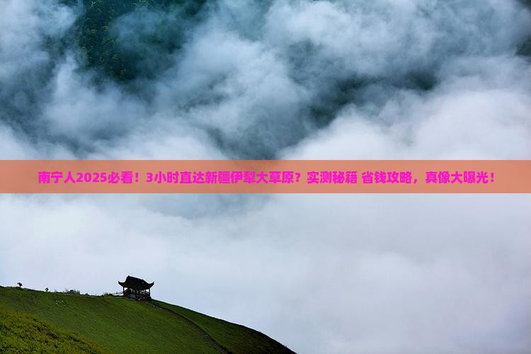 南宁去新疆伊犁大草原一日