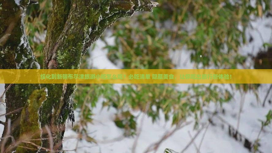 绥化到新疆布尔津旅游小吃