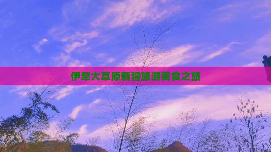 巴彦倬尔去新疆伊犁大草原旅游小吃