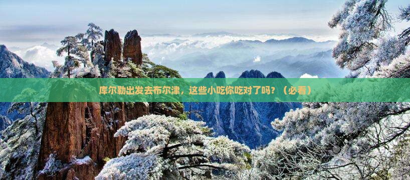 库尔勒去新疆布尔津旅游小吃