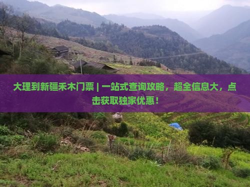 大理到新疆禾木门票