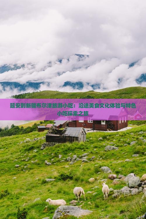 延安到新疆布尔津旅游小吃