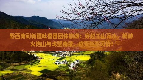 黔西南到新疆吐鲁番团体旅游