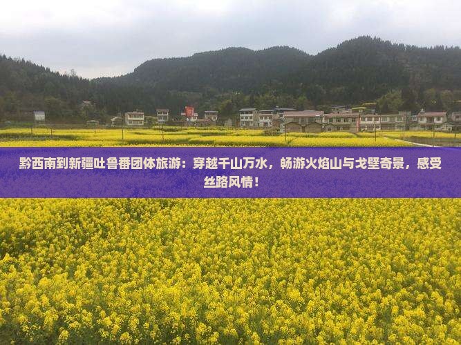 黔西南到新疆吐鲁番团体旅游