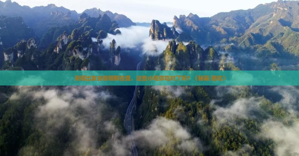 安顺到新疆那拉提旅游小吃