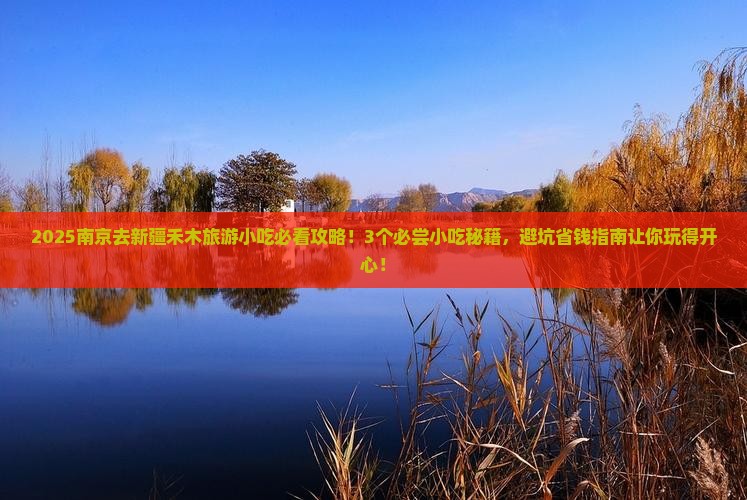 南京去新疆禾木旅游小吃