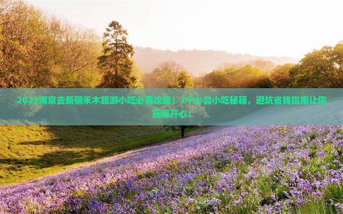 南京去新疆禾木旅游小吃